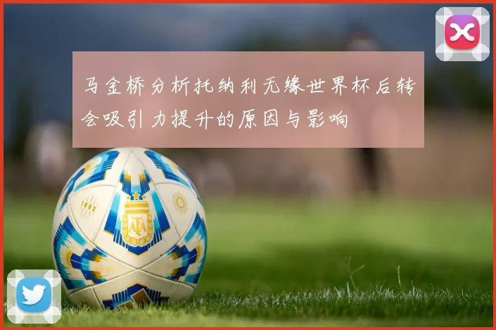 马金桥分析托纳利无缘世界杯后转会吸引力提升的原因与影响